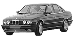 BMW E34 P2694 Fault Code